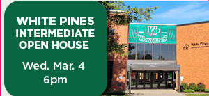 Tall Box Ad WPI Date Time