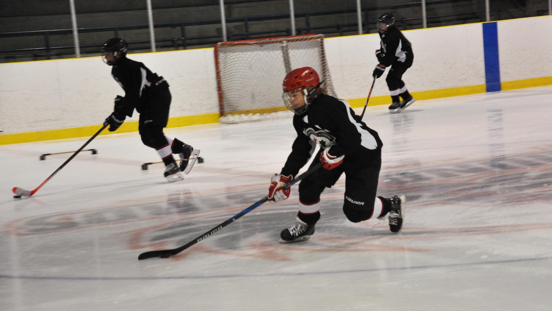 students on ice