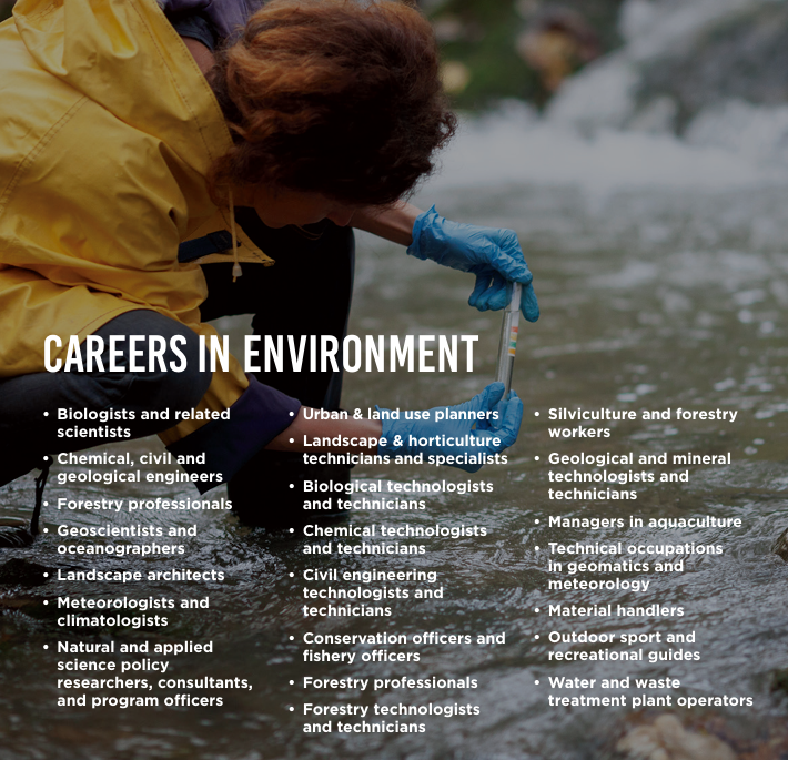 Careers in Environment